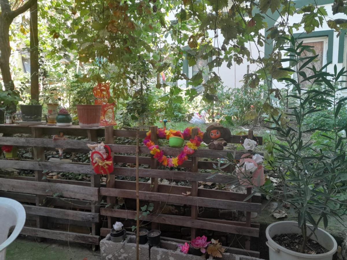 Adem'S Cozy Terrace Retreat Bed & Breakfast Skopje Luaran gambar
