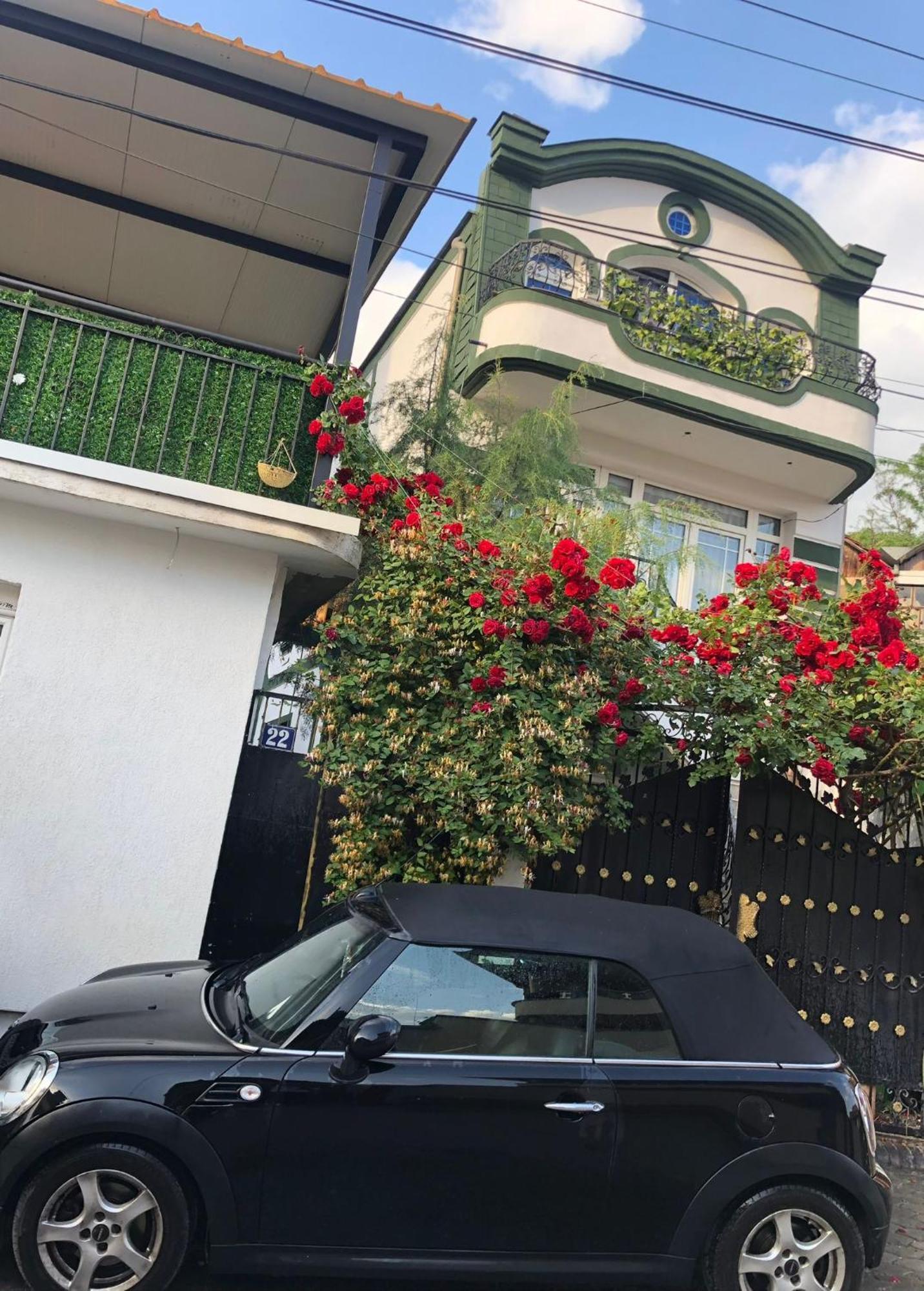 Adem'S Cozy Terrace Retreat Bed & Breakfast Skopje Luaran gambar